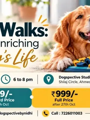 Beyond Walks: The Art of Enriching Your Dog's Life poster