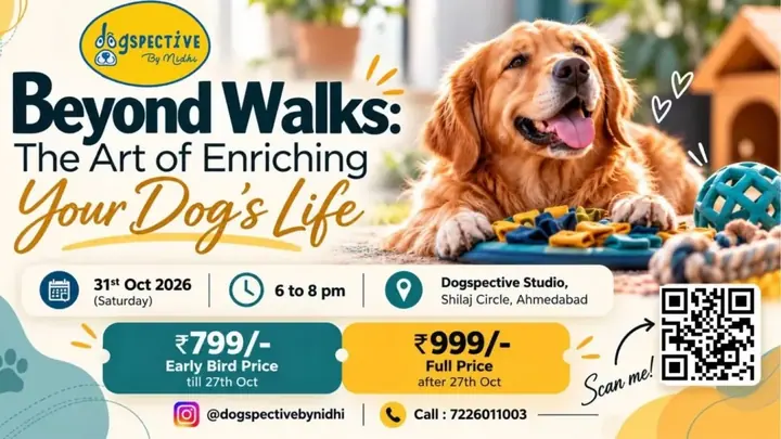 Beyond Walks: The Art of Enriching Your Dog's Life poster